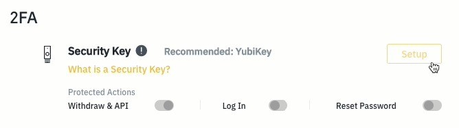 YubiKey1